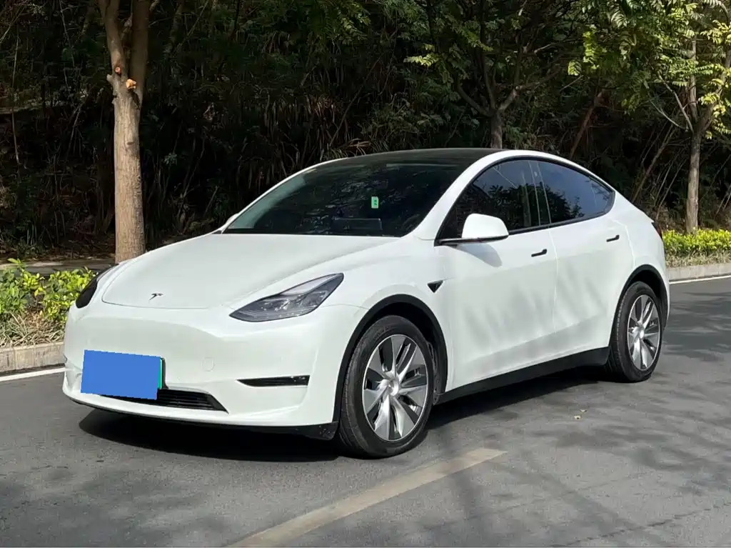 Tesla Model Y 2021