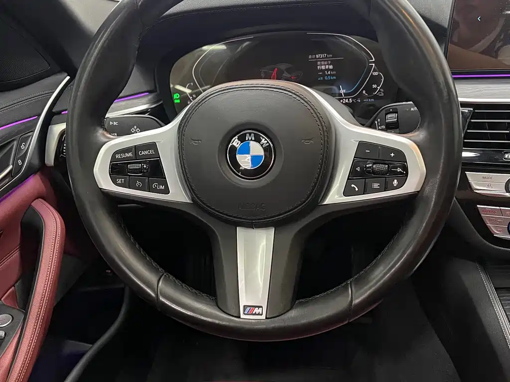 BMW 5 Series New Energy 2021