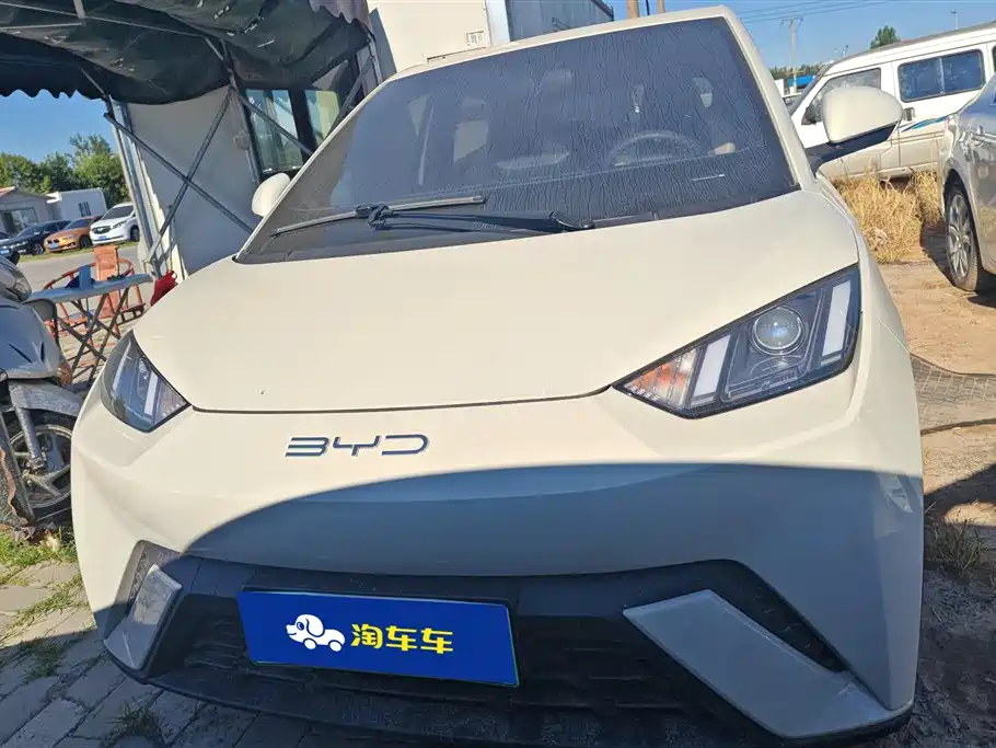 BYD Seagull 2024