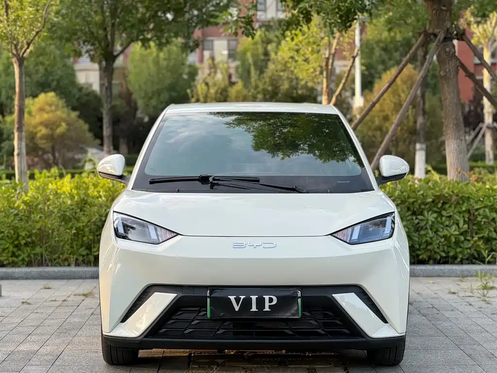 BYD Seagull 2025