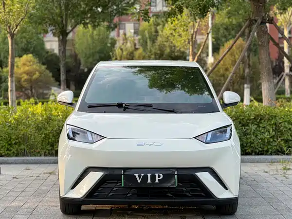 BYD Seagull 2025