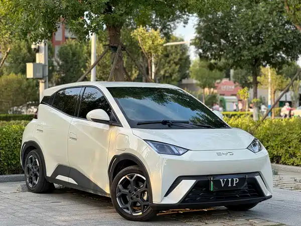 BYD Seagull 2025