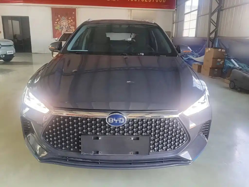 BYD e2 2021