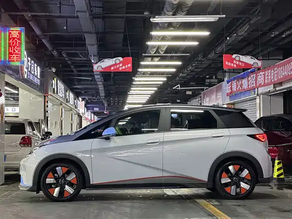 BYD Dolphin 2022