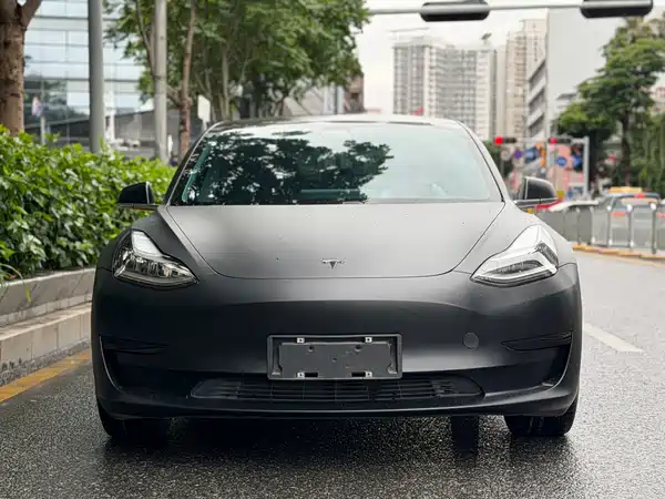 Tesla Model 3 2020