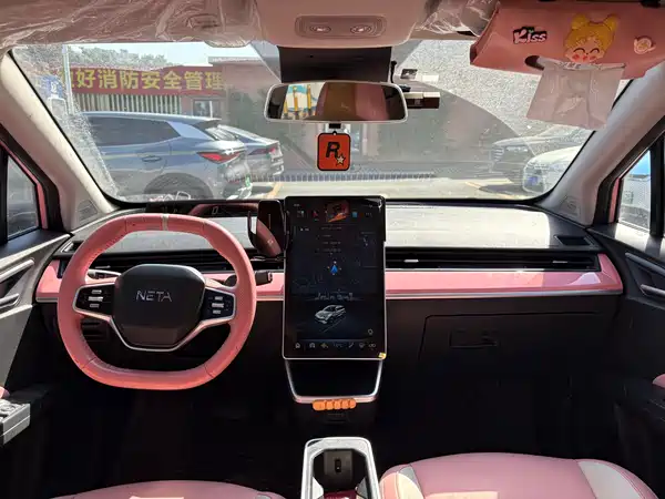 Neta V 2021