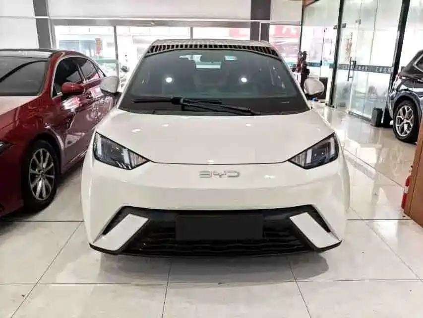 BYD Seagull 2024