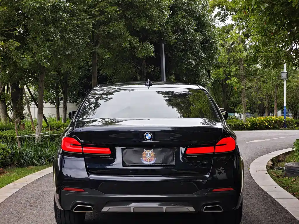 BMW 5 Series 2021