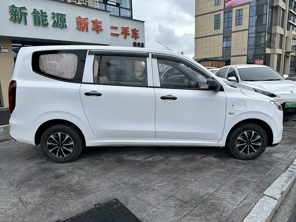 Wuling Hongguang New Energy 2024