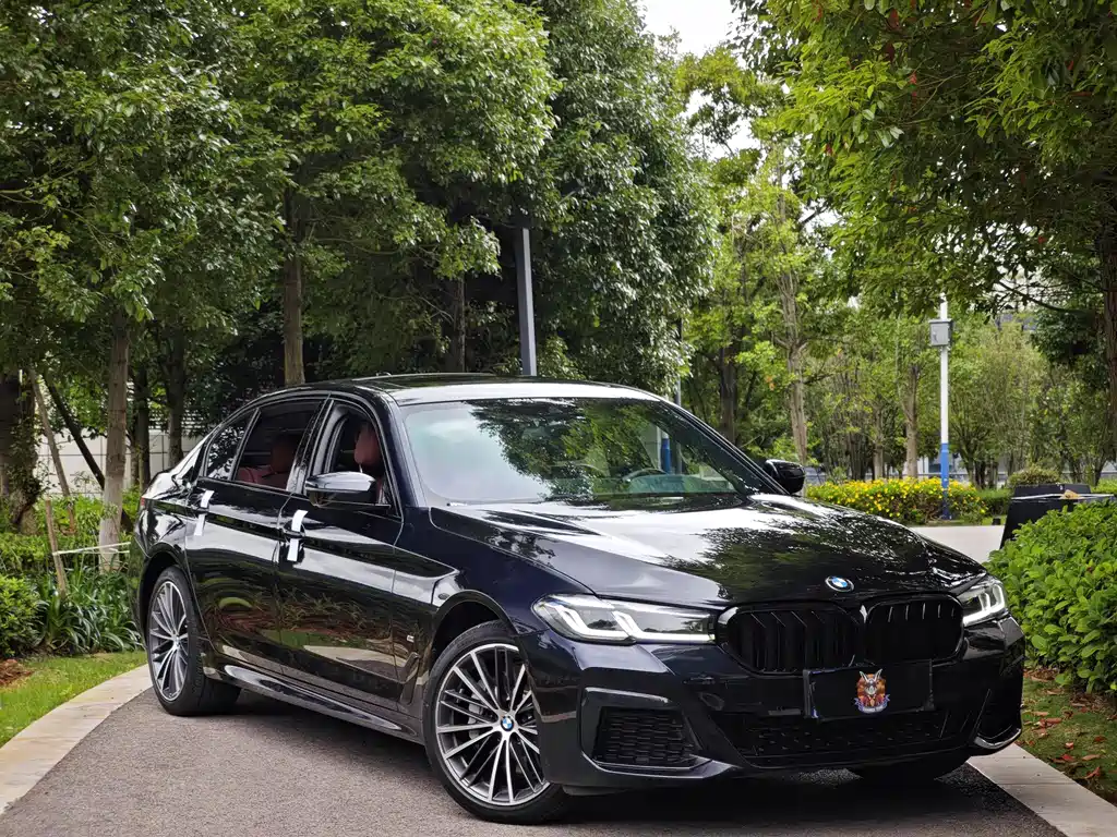 BMW 5 Series 2021