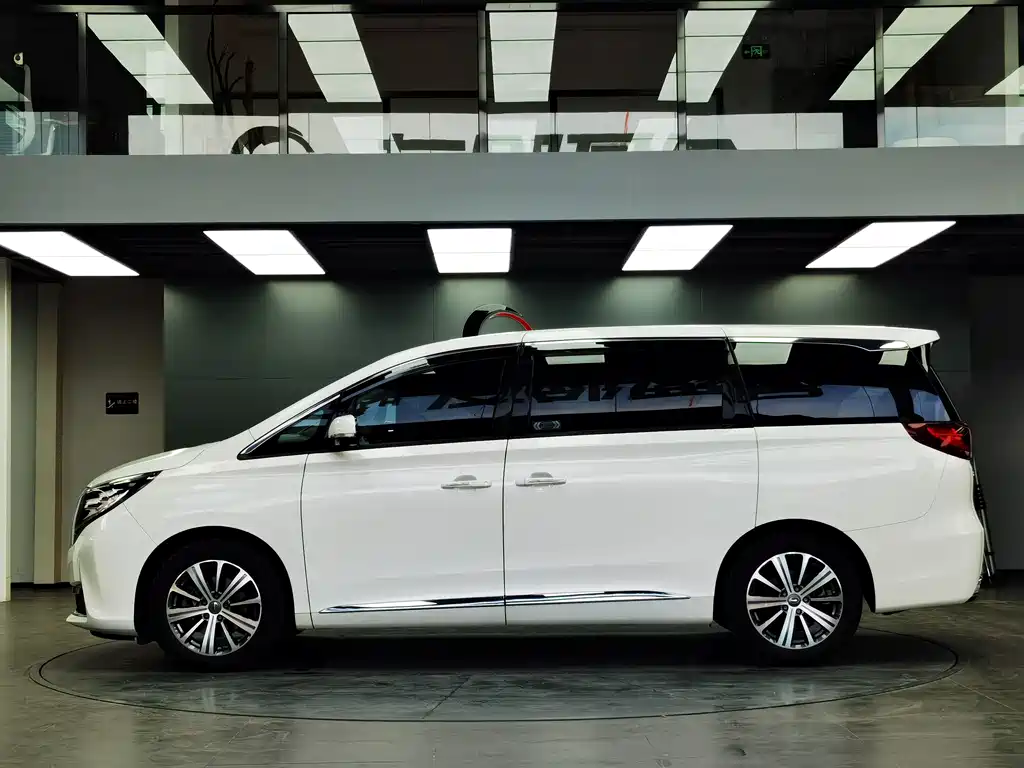 GAC Motor Trumpchi M8 2019 — фото 5
