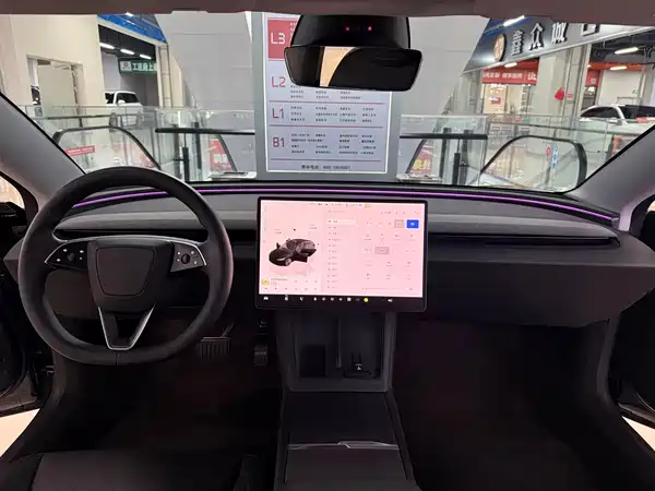 Tesla Model 3 2025