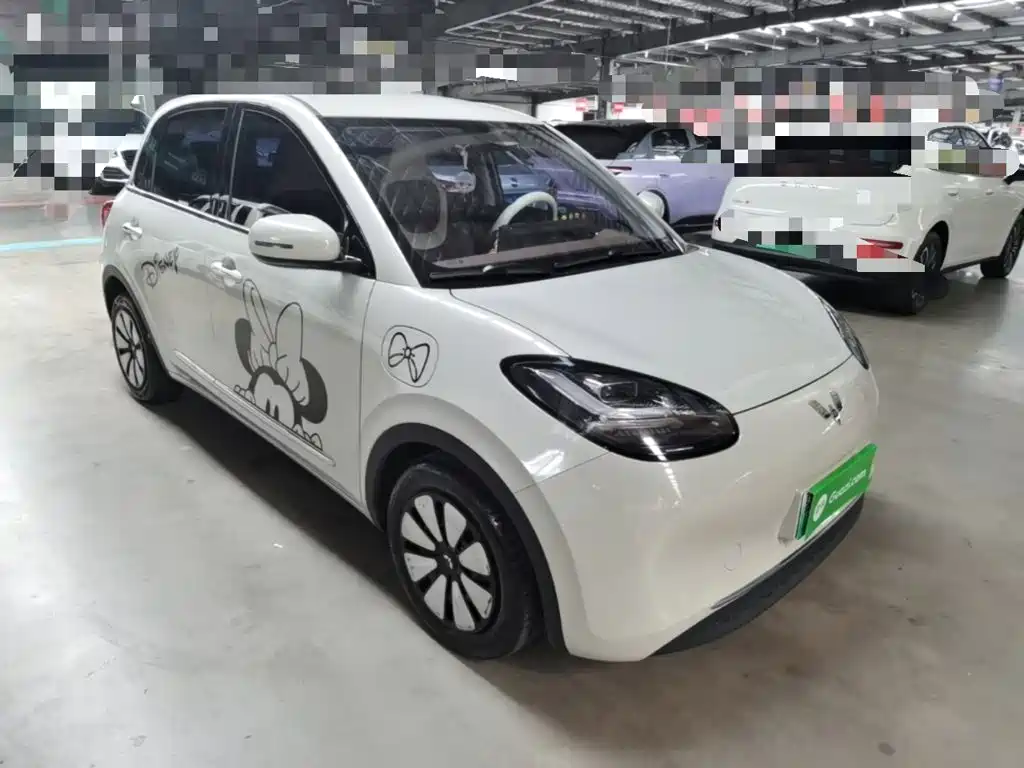 Wuling Bingo 2024