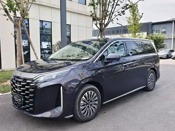 BYD Summer 2025