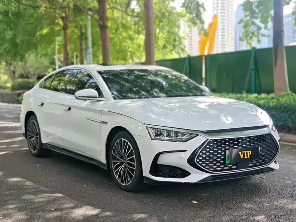 BYD Han 2022