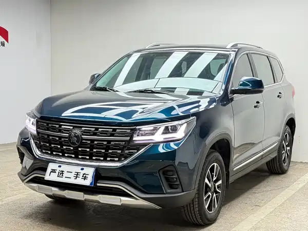 Dongfeng Fengxing T5 2022