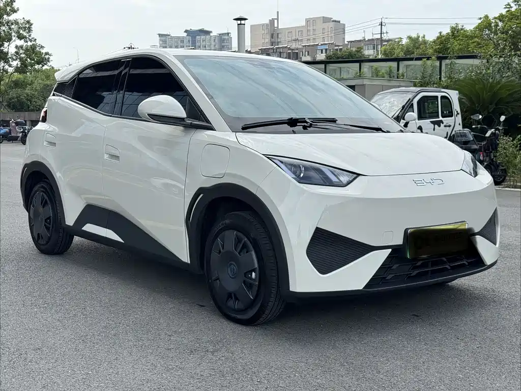 BYD Seagull 2026