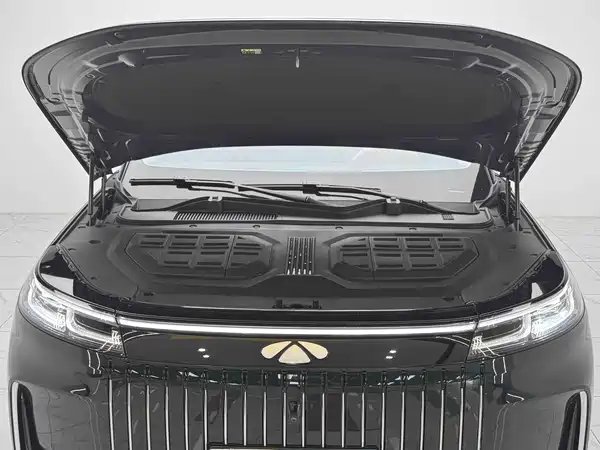 Chery Fengyun T11 2025