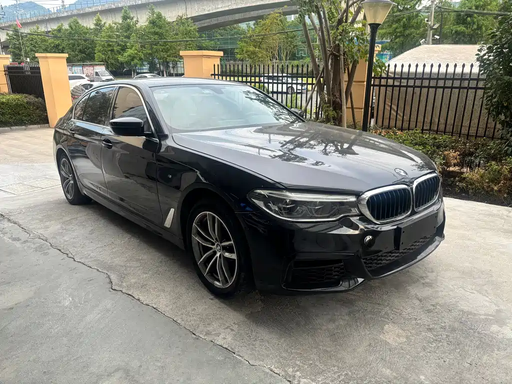 BMW 5 Series 2020