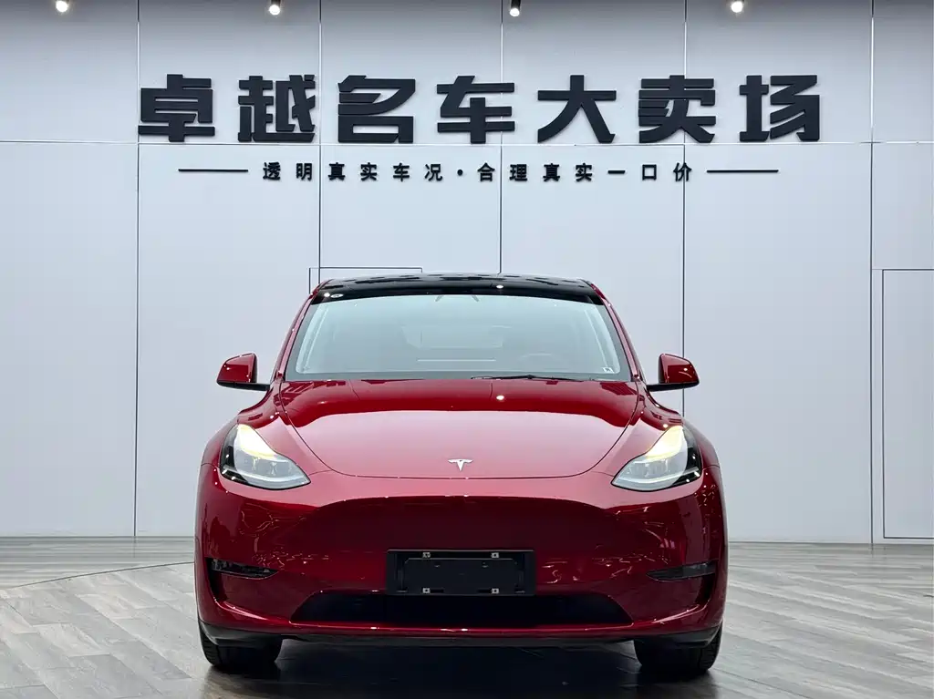 Tesla Model Y 2021 — фото 1