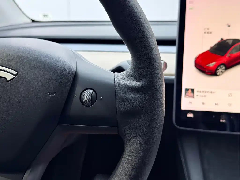 Tesla Model Y 2021 — фото 19