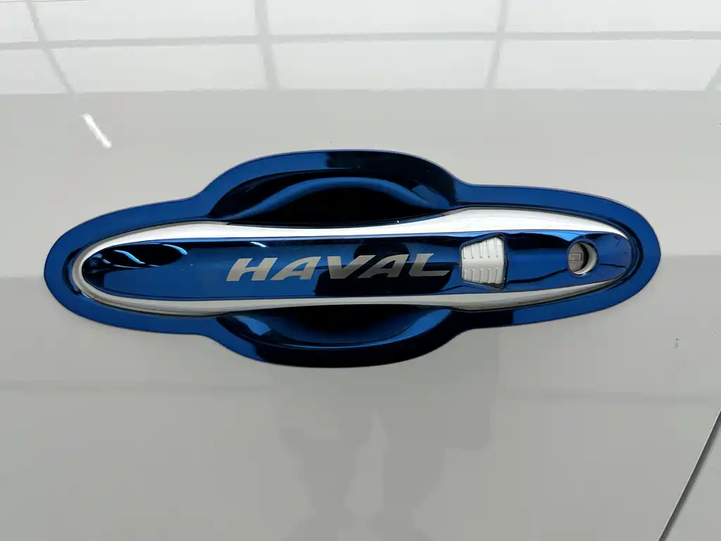 Haval H6 2023 — фото 11
