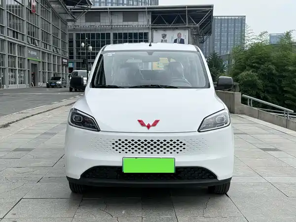 Wuling Hongguang New Energy 2025