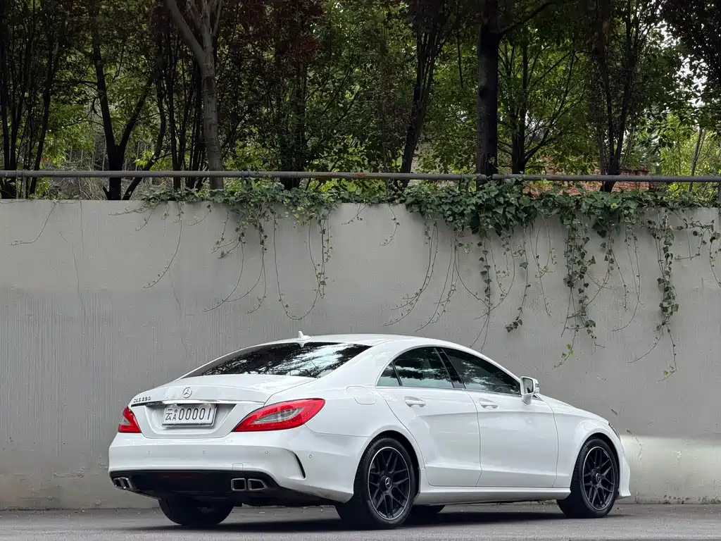 Mercedes-Benz CLS 2013 — фото 11