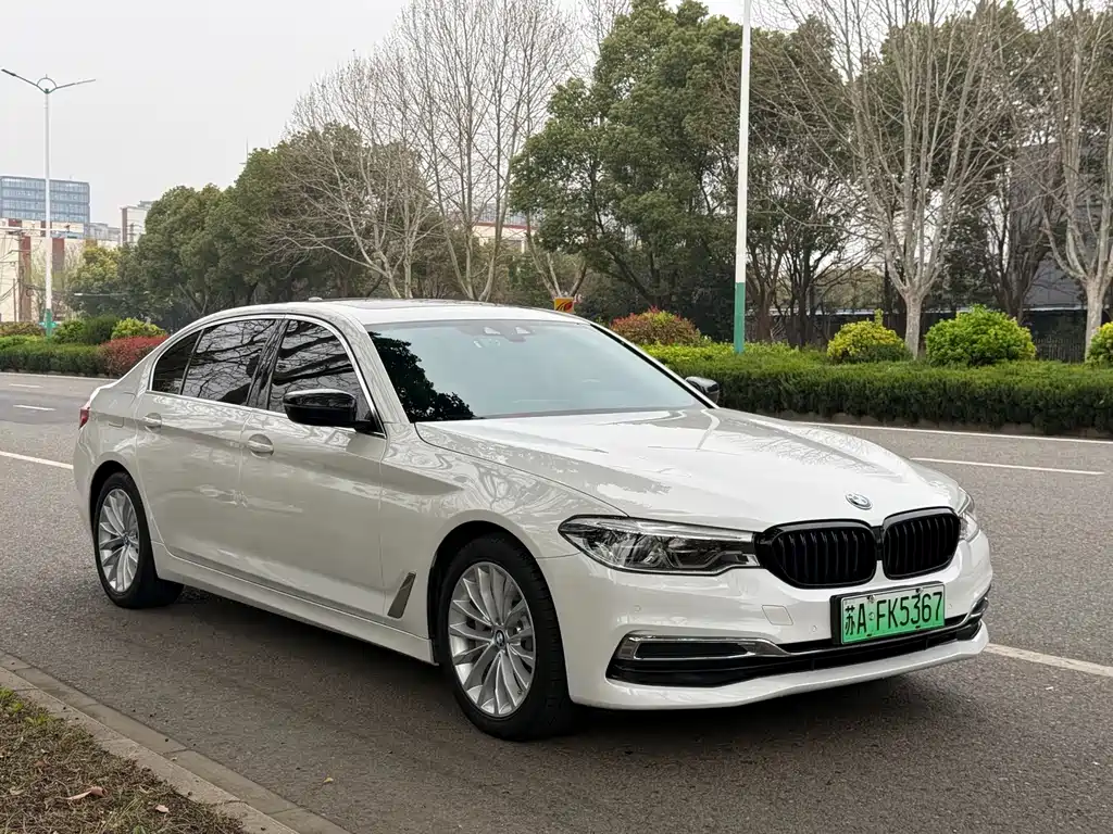 BMW 5 Series New Energy 2019