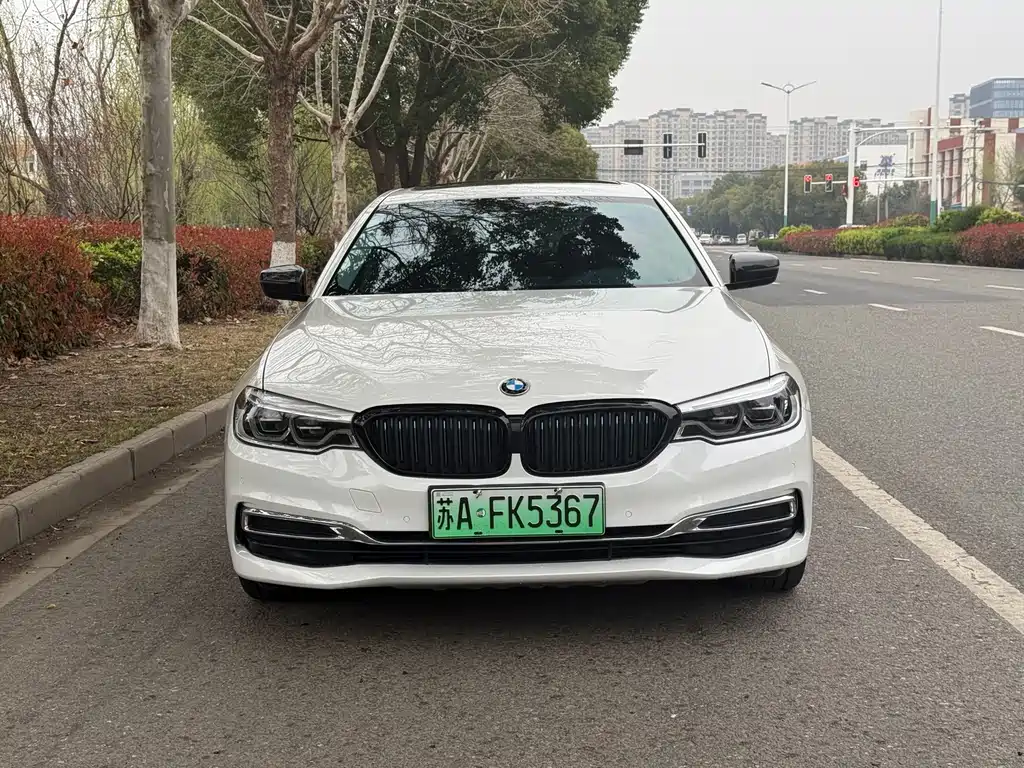 BMW 5 Series New Energy 2019