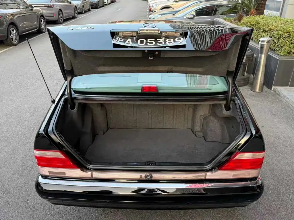 Mercedes-Benz S-Class 2003 — фото 13