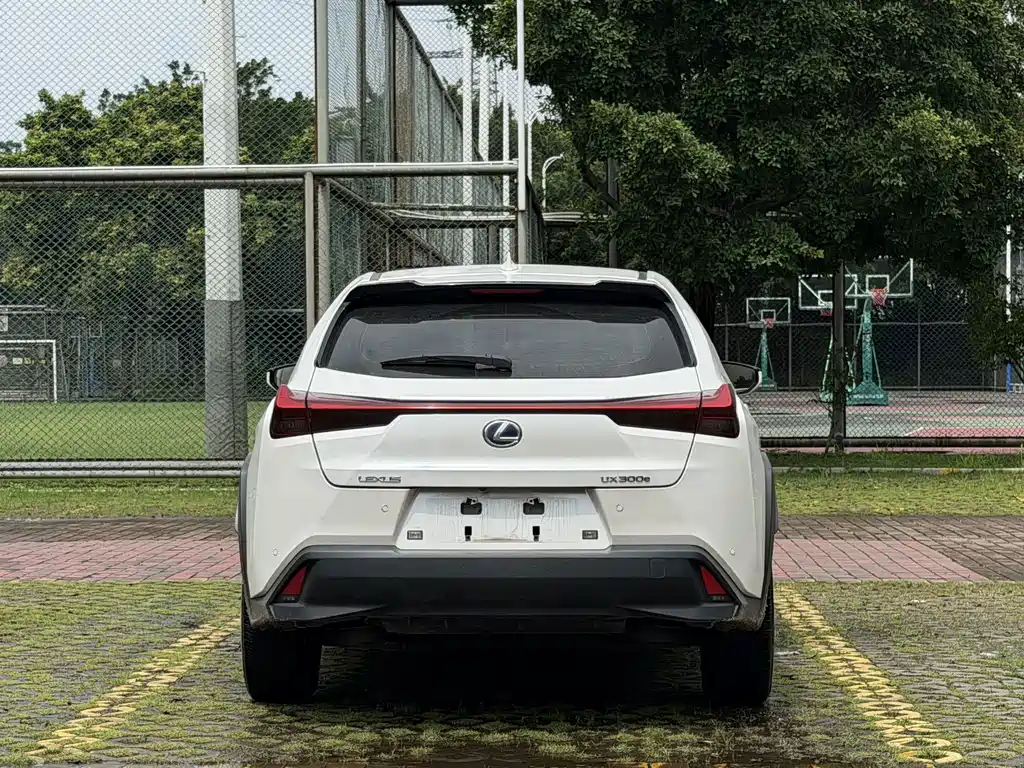 Lexus UX New Energy 2023 — фото 6