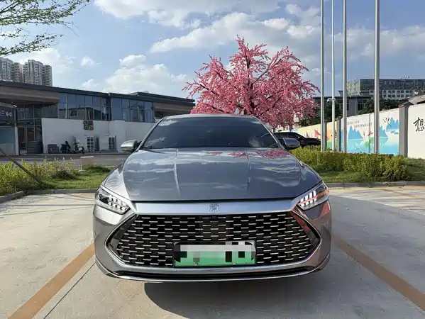 BYD Qin PLUS 2024