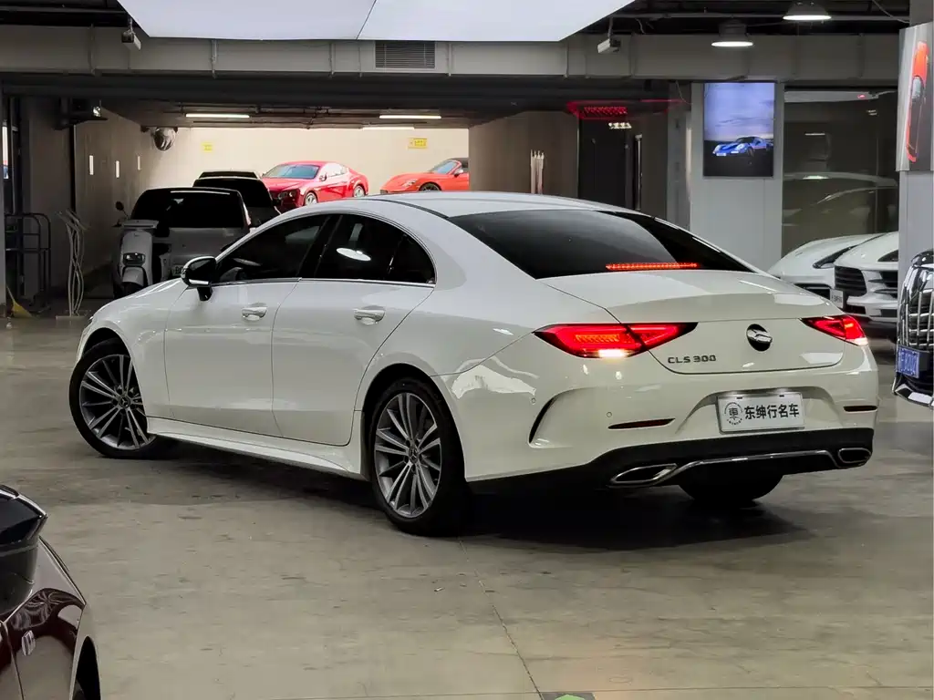 Mercedes-Benz CLS 2020 — фото 4