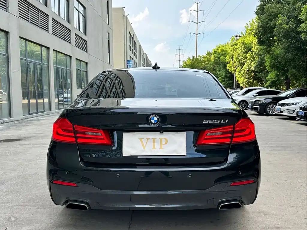BMW 5 Series 2019 — фото 13
