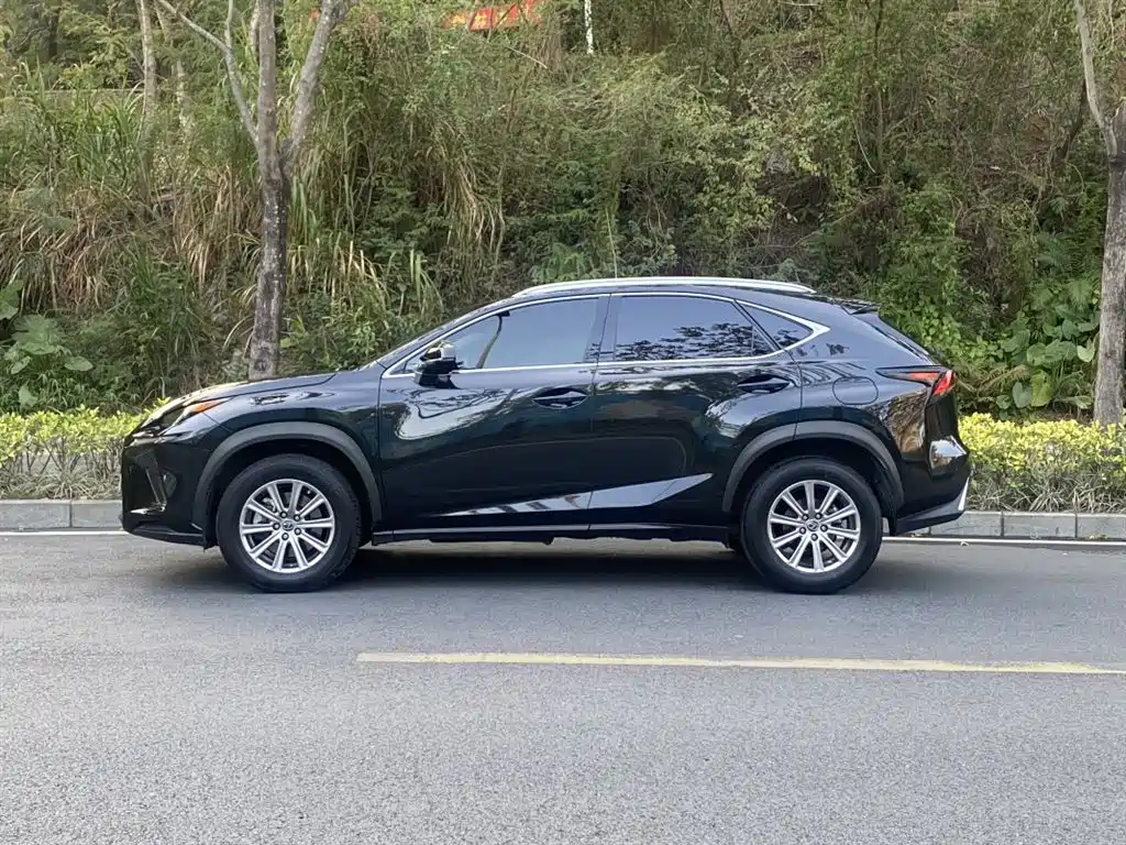 Lexus NX 2018 — фото 14