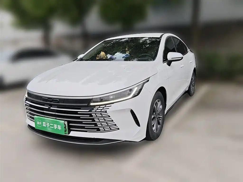 BYD Destroyer 05 2024 — фото 1