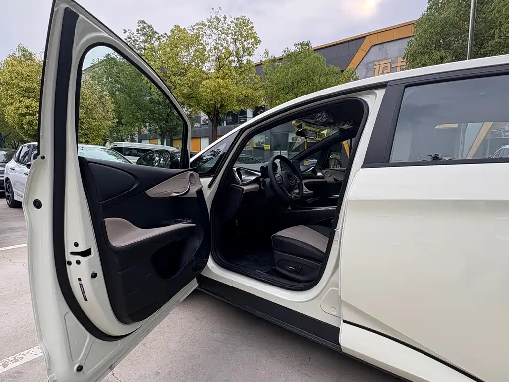 BYD Dolphin 2026