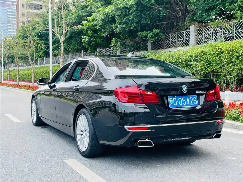BMW 5 Series 2014 — фото 6