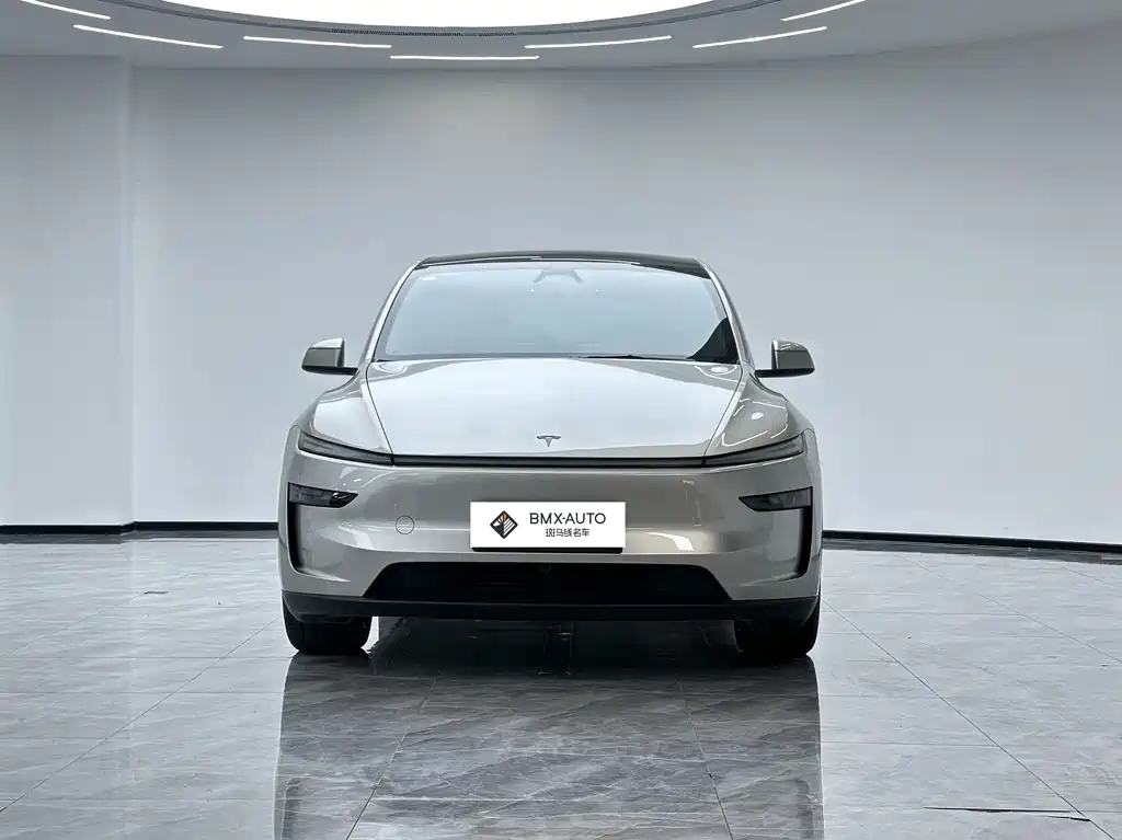 Tesla Model Y L 2026 — фото 2