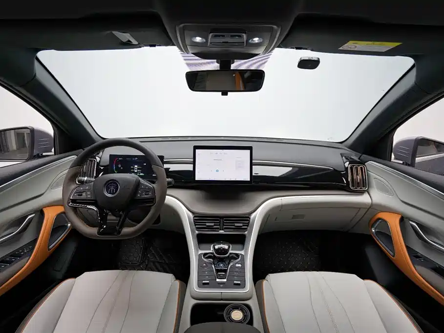 BYD Pro New Energy 2024 — фото 10