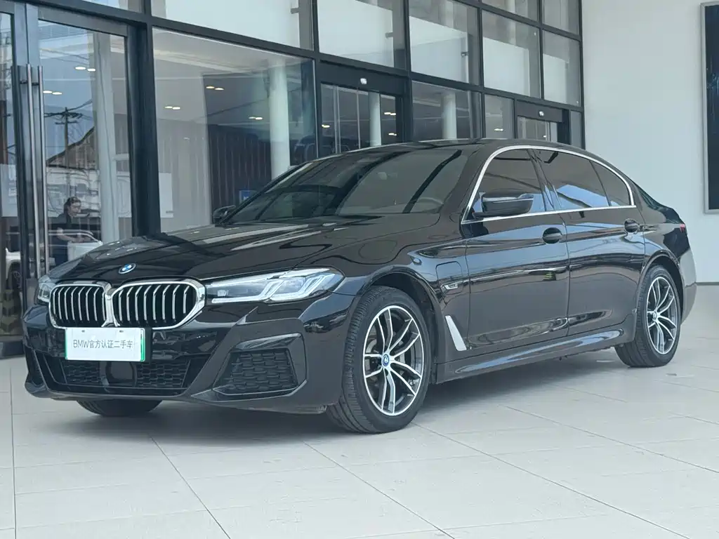 BMW 5 Series New Energy 2022