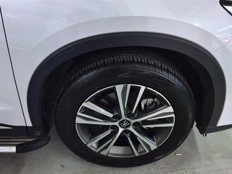 BYD Pro New Energy 2022 — фото 6