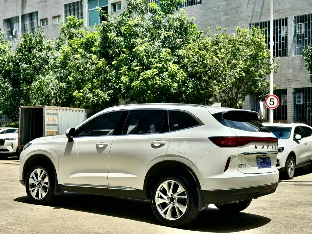Haval H6 2021 — фото 6