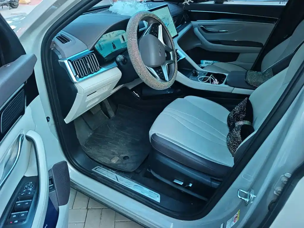 BYD Song PLUS New Energy 2024 — фото 14