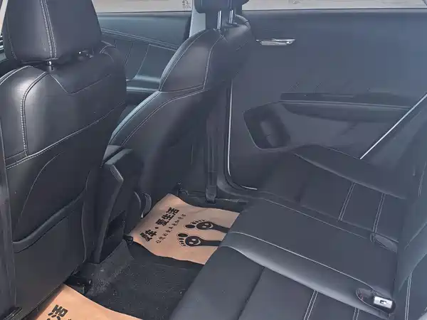 BYD e2 2019
