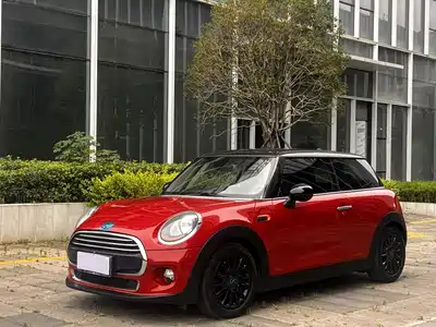 MINI MINI 2015
