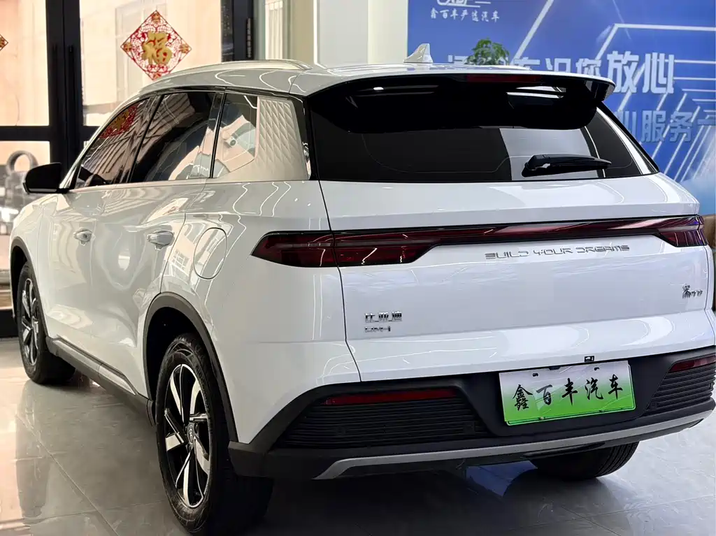 BYD Pro New Energy 2025 — фото 10