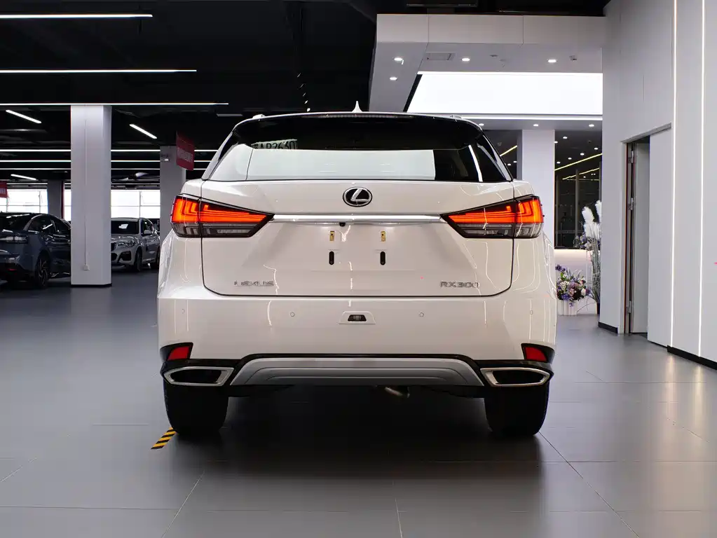 Lexus RX 2021 — фото 6