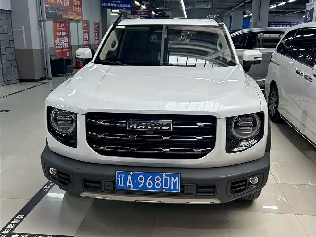 Haval Big Dog 2021 — фото 4